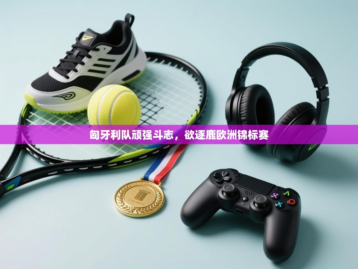 匈牙利队顽强斗志,欲逐鹿欧洲锦标赛 第2张