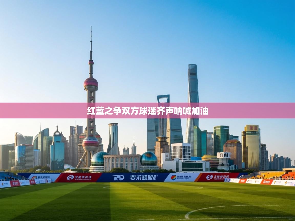 红蓝之争双方球迷齐声呐喊加油  第1张