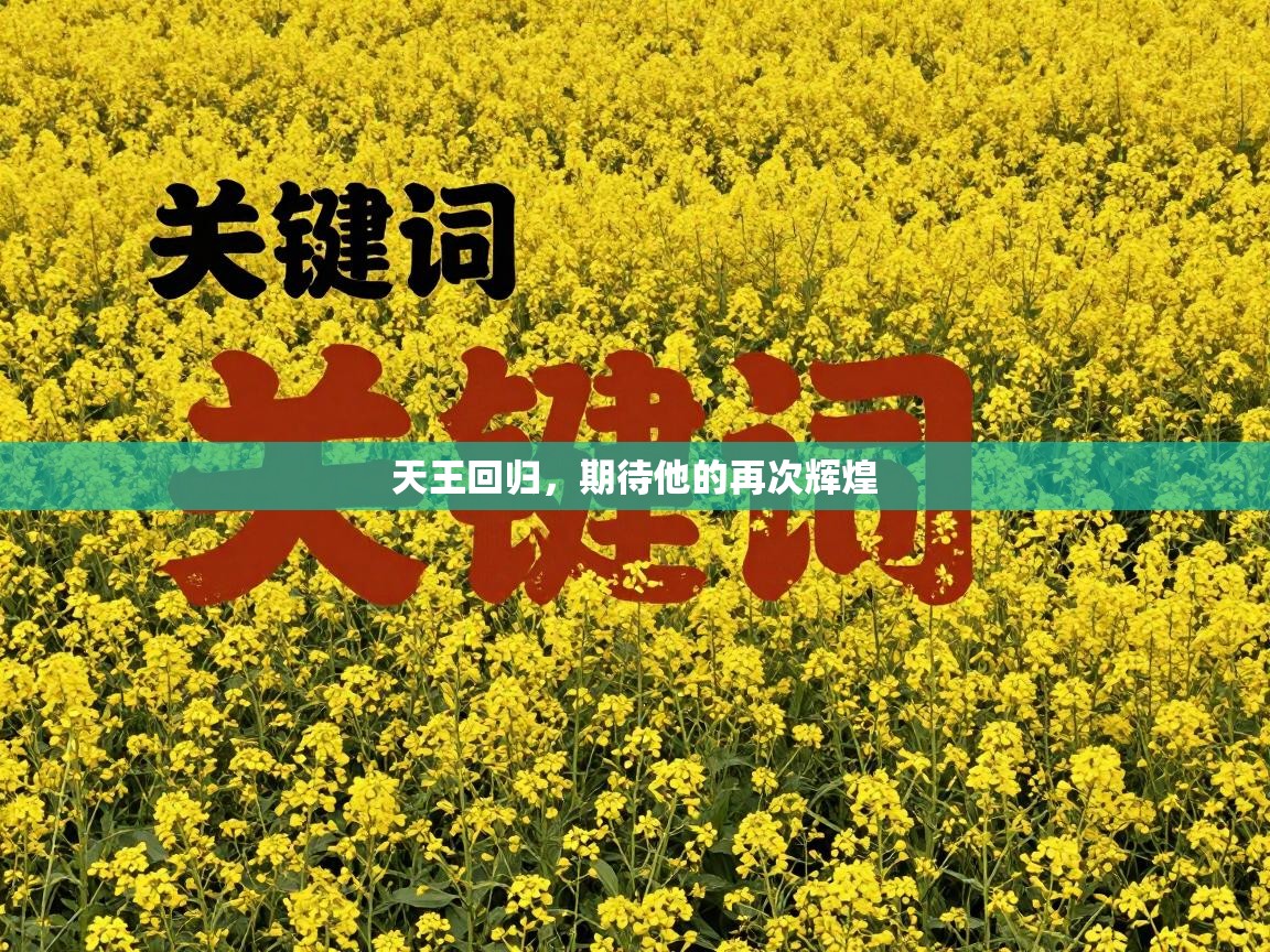 天王回归，期待他的再次辉煌  第1张