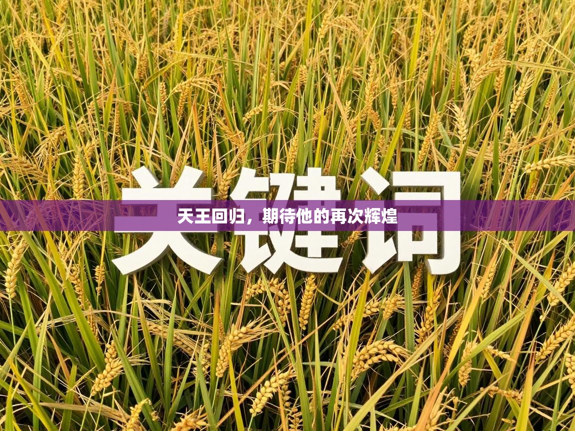 天王回归，期待他的再次辉煌  第2张