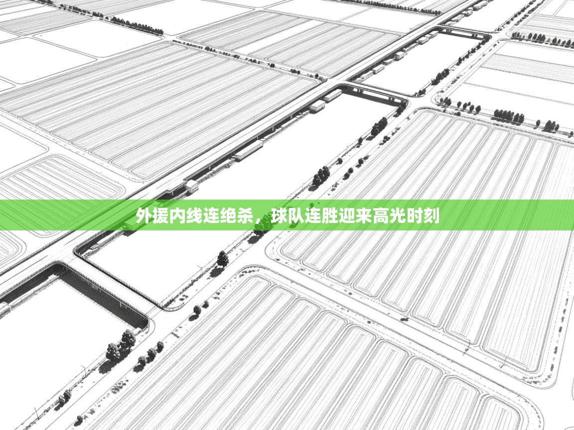 外援内线连绝杀,球队连胜迎来高光时刻 第1张