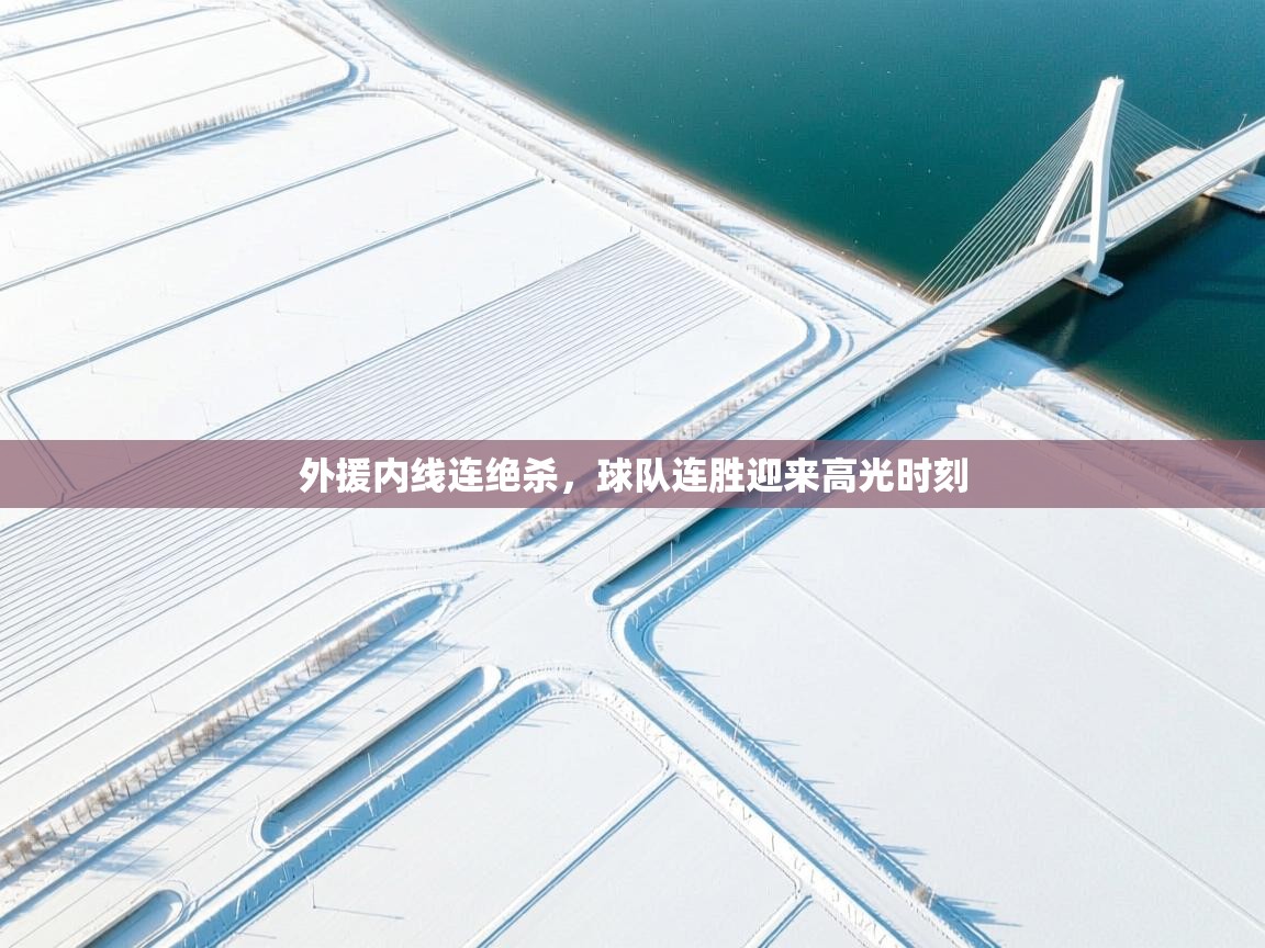 外援内线连绝杀,球队连胜迎来高光时刻 第2张