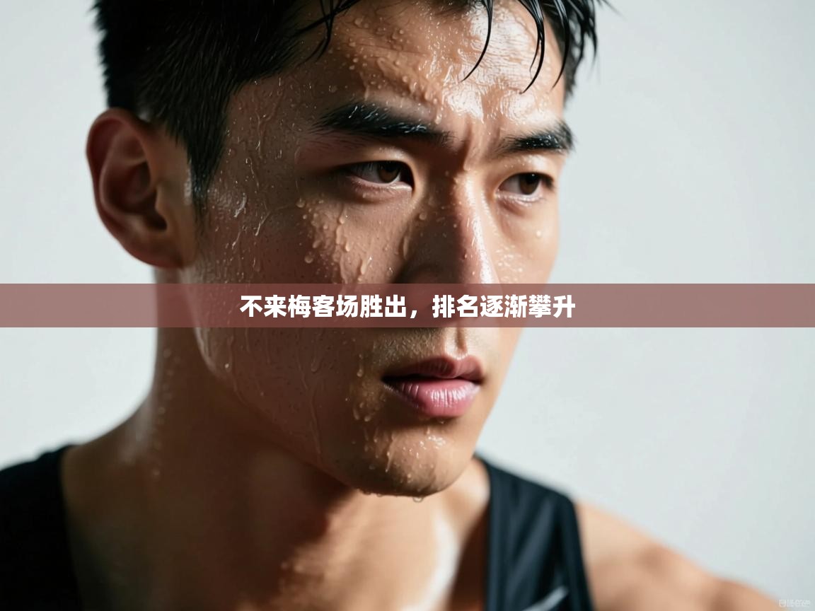 不来梅客场胜出，排名逐渐攀升  第1张