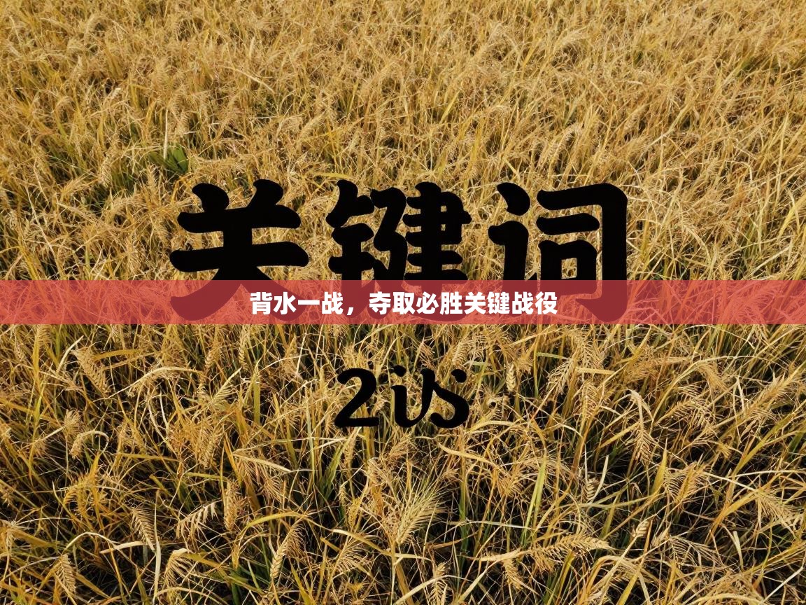 背水一战，夺取必胜关键战役  第1张