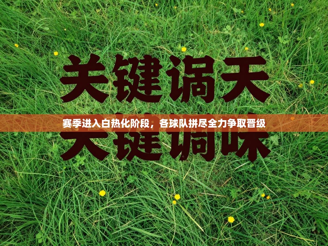 赛季进入白热化阶段，各球队拼尽全力争取晋级  第1张