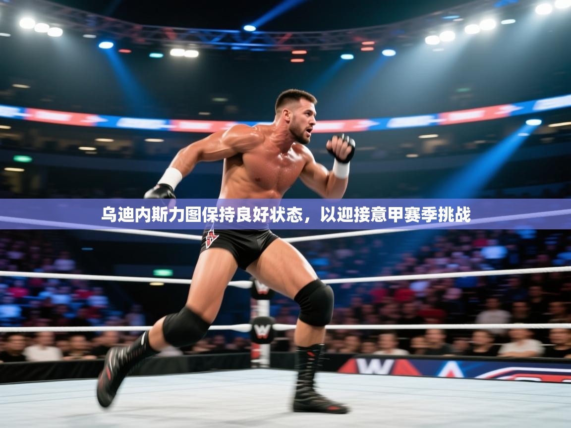 乌迪内斯力图保持良好状态，以迎接意甲赛季挑战  第2张