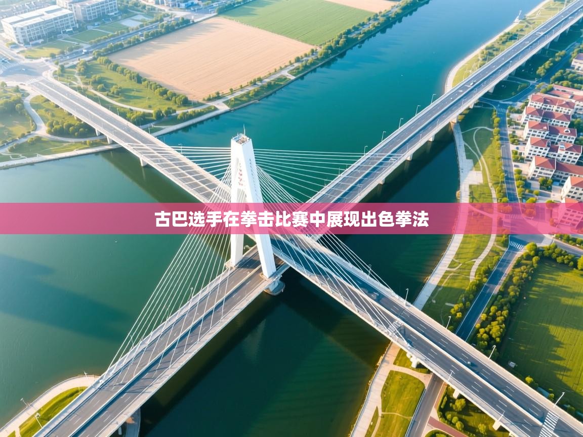 古巴选手在拳击比赛中展现出色拳法  第2张