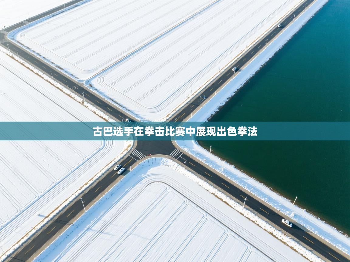 古巴选手在拳击比赛中展现出色拳法  第1张