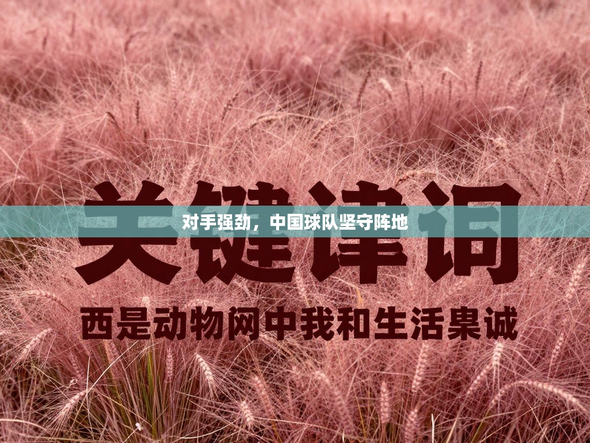 对手强劲，中国球队坚守阵地  第1张