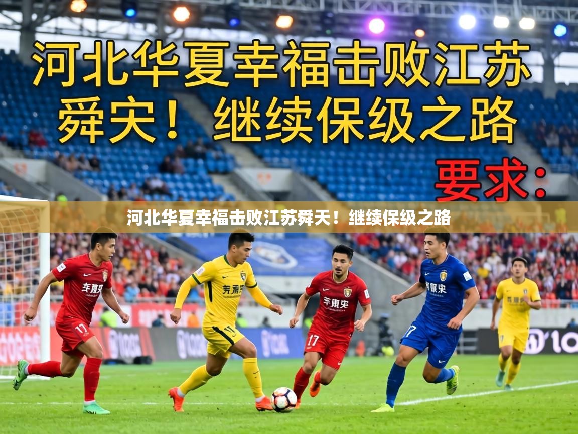 河北华夏幸福击败江苏舜天!继续保级之路 第1张