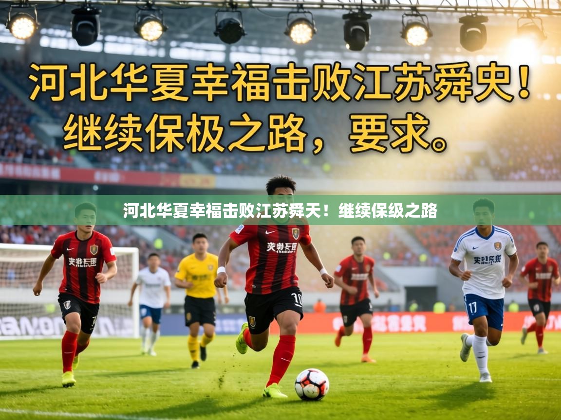 河北华夏幸福击败江苏舜天!继续保级之路 第2张